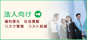 損害保険（法人）