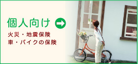 損害保険（個人）