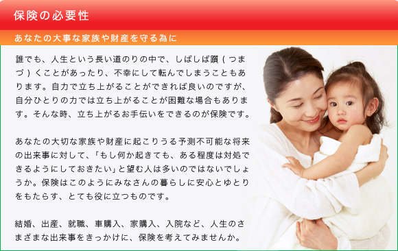 保険の必要性（あなたの大事な家族や財産を守る為に）