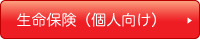 生命保険（個人向け）