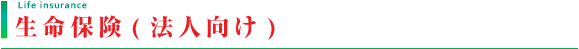 生命保険（法人向け）