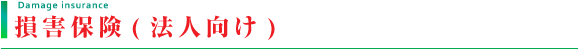 損害保険（法人向け）